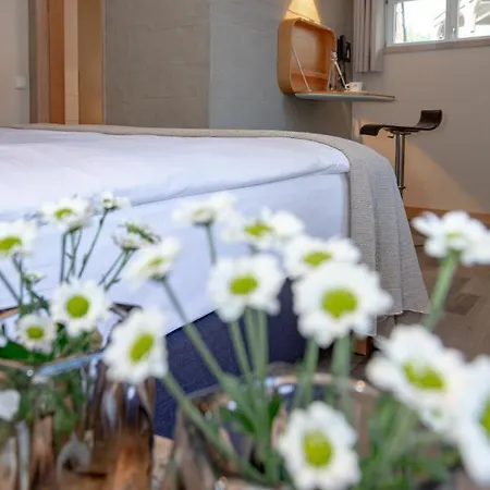 Luise & Luisenhof 4* Dinkelsbühl
