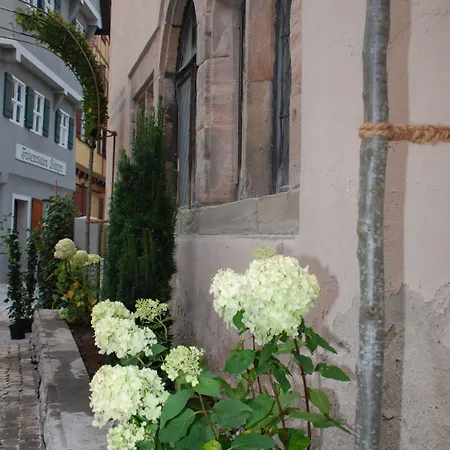 Luise & Luisenhof