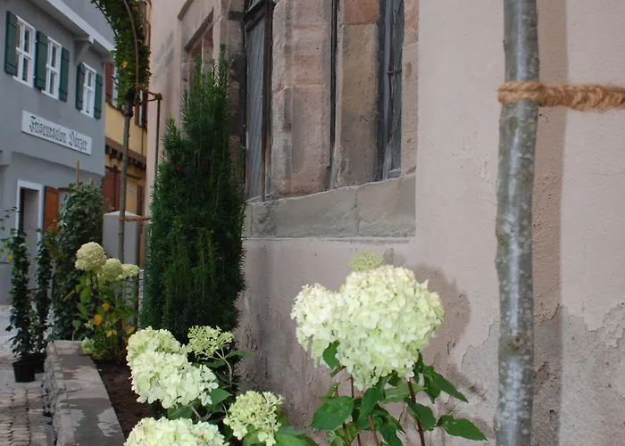 Luise & Luisenhof